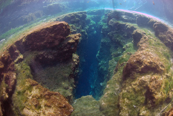 Diver Bubbles